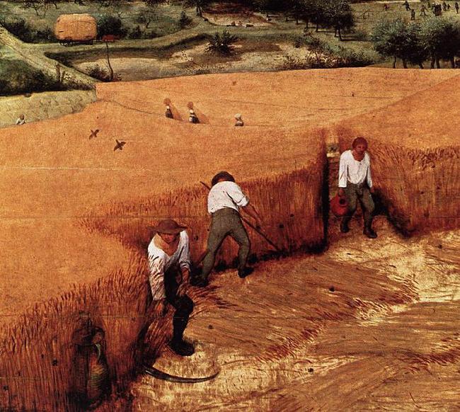 Pieter Bruegel the Elder The Corn Harvest Sweden oil painting art